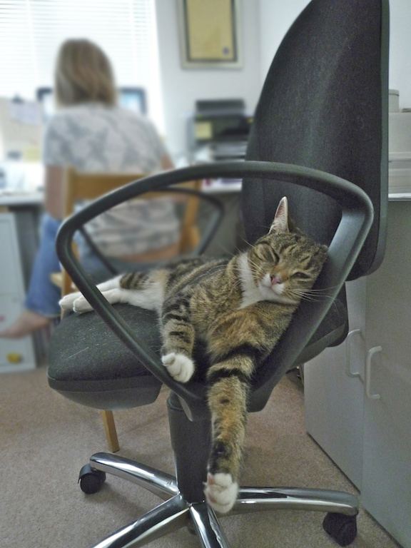 Make sure your staff are motivated and fully aware of their responsibilities. You can then relax and watch the work flow.
