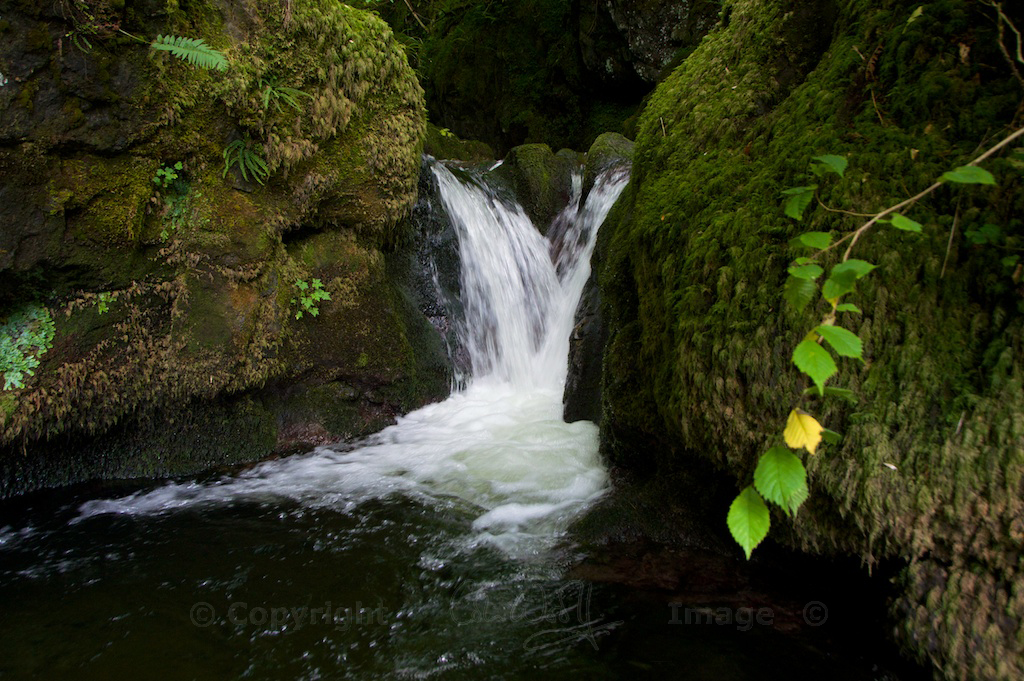 Waterfalls, Dollar Glen 68